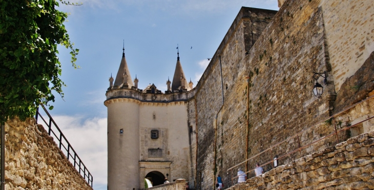 Le Château - Grignan