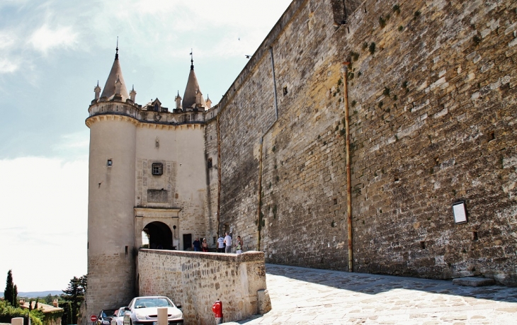 Le Château - Grignan