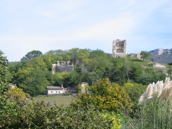 Site médiéval - La Baume-Cornillane