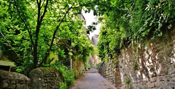 Le Vieux Village - La Bégude-de-Mazenc