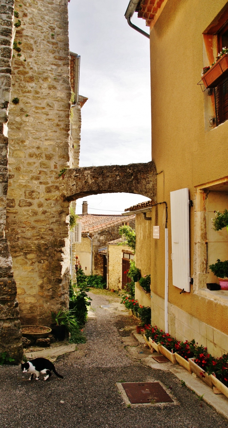 Le Vieux Village - La Bégude-de-Mazenc