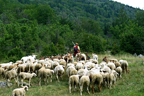  - La Chapelle-en-Vercors