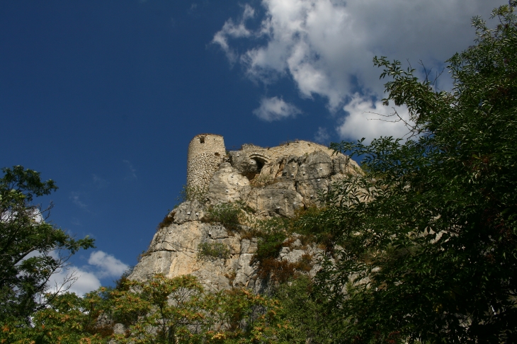  - La Roche-sur-le-Buis