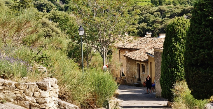 Le Village - Le Pègue