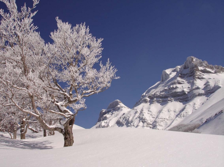 Le Grand Ferrand depuis le Col de la Croix     http://lus-passion.over-blog.com - Lus-la-Croix-Haute