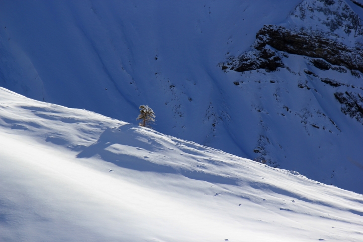 L'antre de la méditation... vallon du Fleyrard  http://lus-passion.over-blog.com - Lus-la-Croix-Haute