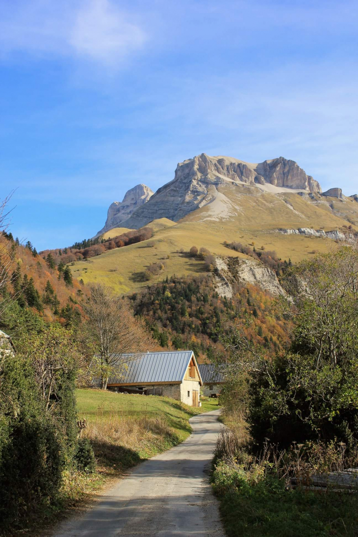 Vallon de la Jarjatte les granges des forêts  - Lus-la-Croix-Haute