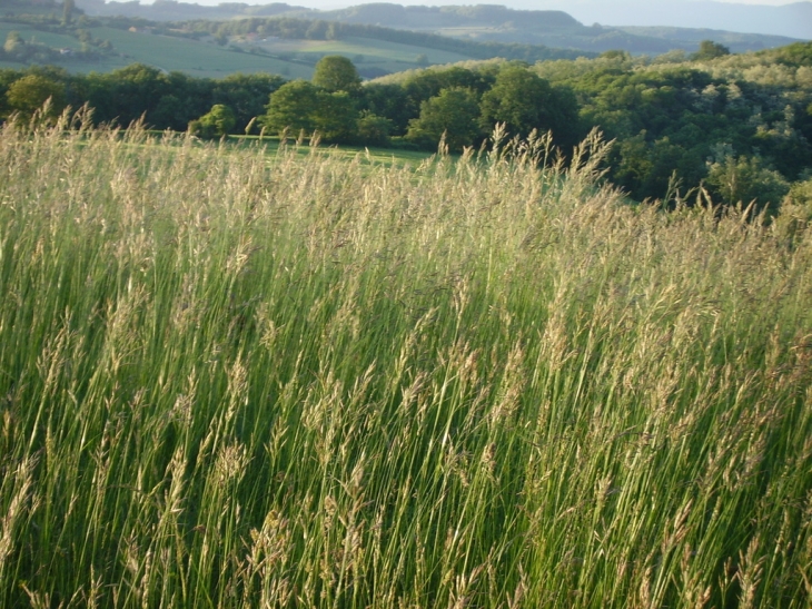 Vue sur les collines environnantes de Montchenu