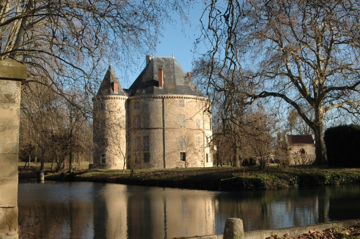 Chateau de montelier - Montélier