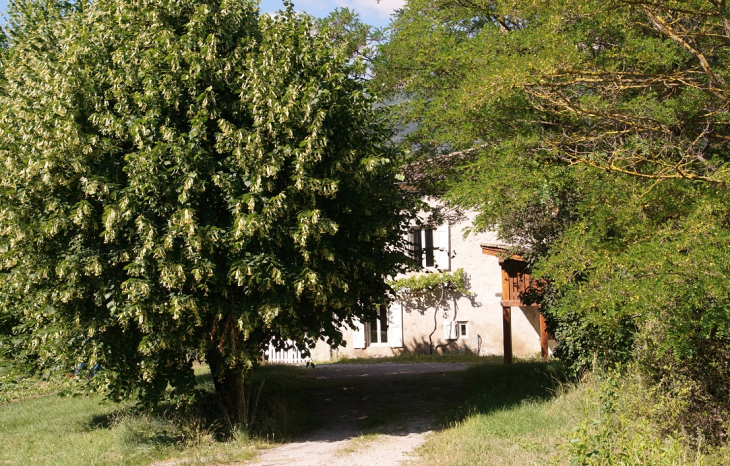 La Commune - Montlaur-en-Diois