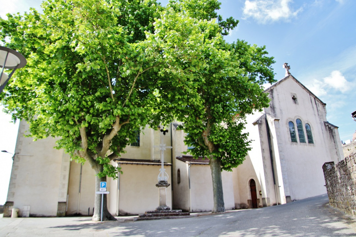  église Saint-Martin - Peyrins