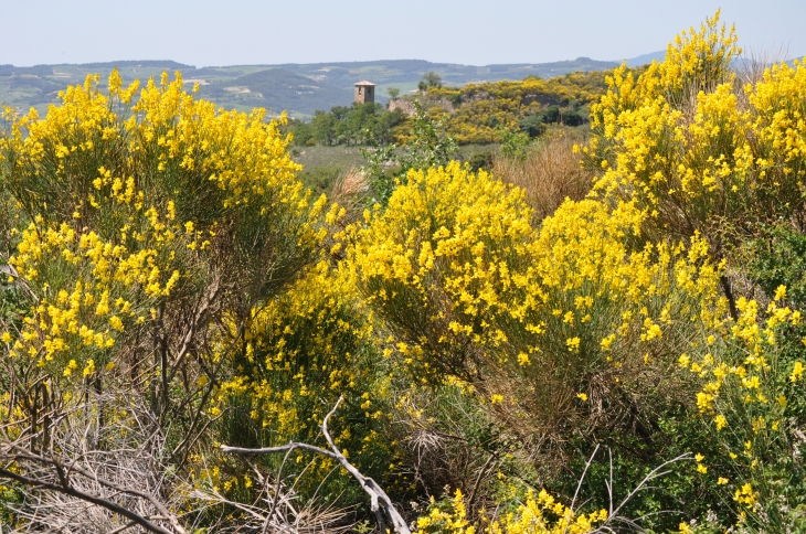 Promenade aux alentours du village - Piégon