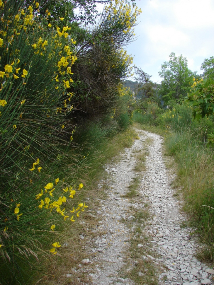 Un sentier du village - Pommerol