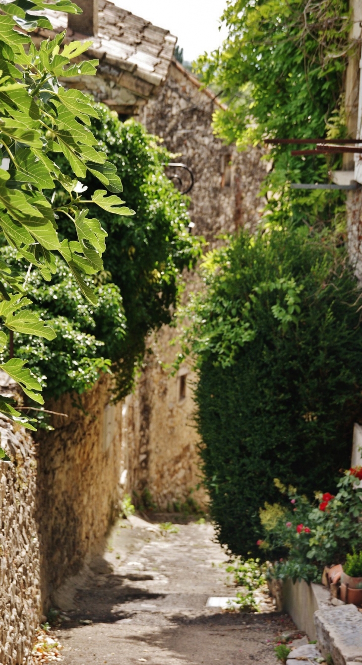 Le Village - Pont-de-Barret