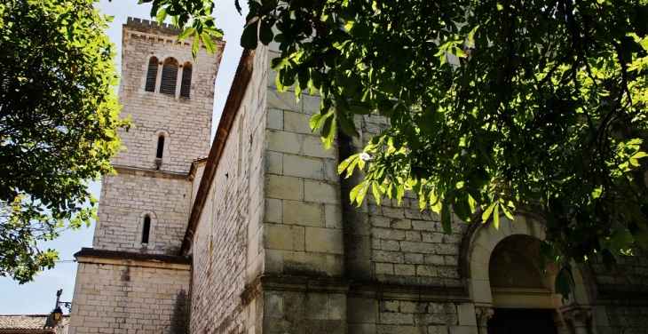 ;église Saint-Bonnet - Puygiron