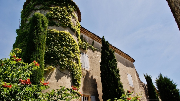 Le Château - Puygiron