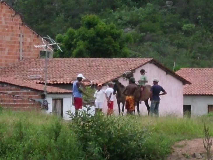 Mucugé bresil - Romans-sur-Isère