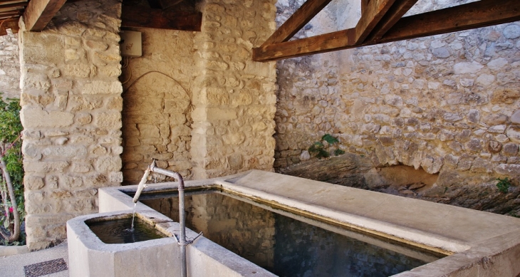 Le Lavoir - Rousset-les-Vignes