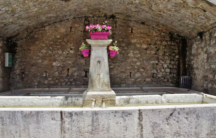 Fontaine et Lavoir - Saint-Agnan-en-Vercors