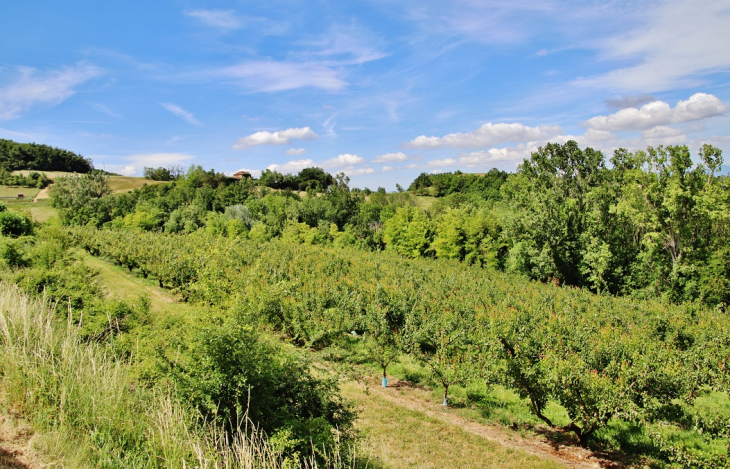 La Commune - Saint-Andéol