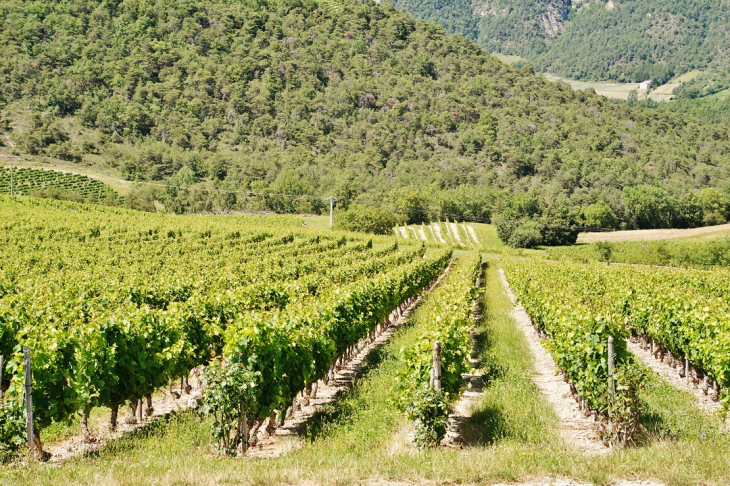 Les Vignes - Saint-Sauveur-en-Diois