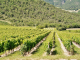 Photo précédente de Saint-Sauveur-en-Diois Les Vignes