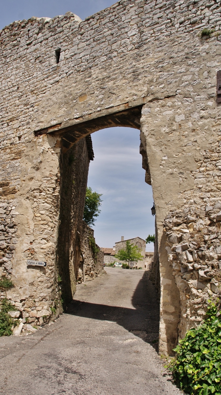 Le Château ( ruines ) - Sauzet