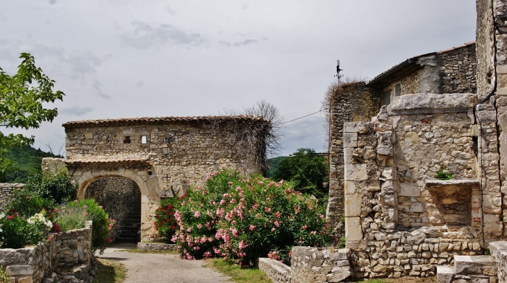 Le Château ( ruines ) - Sauzet