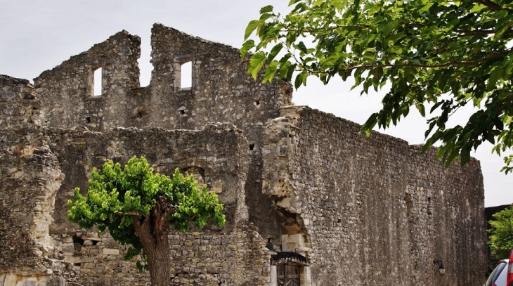 Le Château ( ruines ) - Sauzet