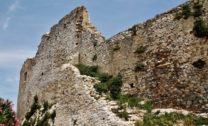 Le Château ( ruines ) - Sauzet