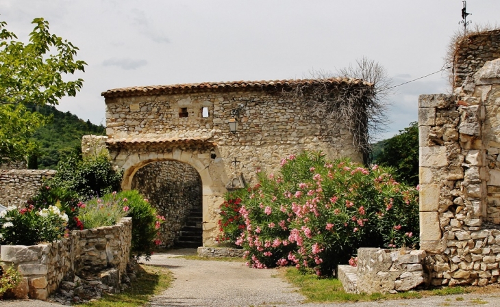 Le Château ( ruines ) - Sauzet