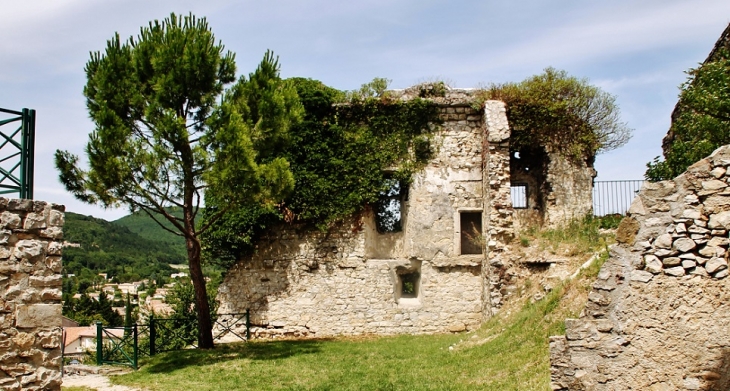 Le Château ( ruines ) - Sauzet