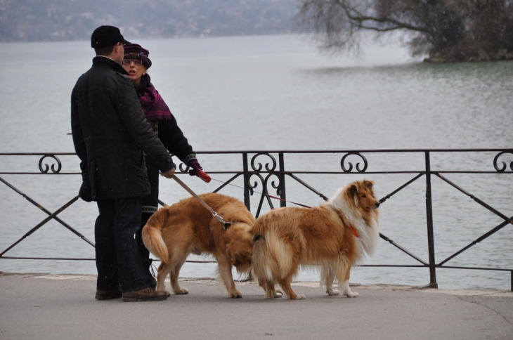 Balade autour du Lac - Annecy