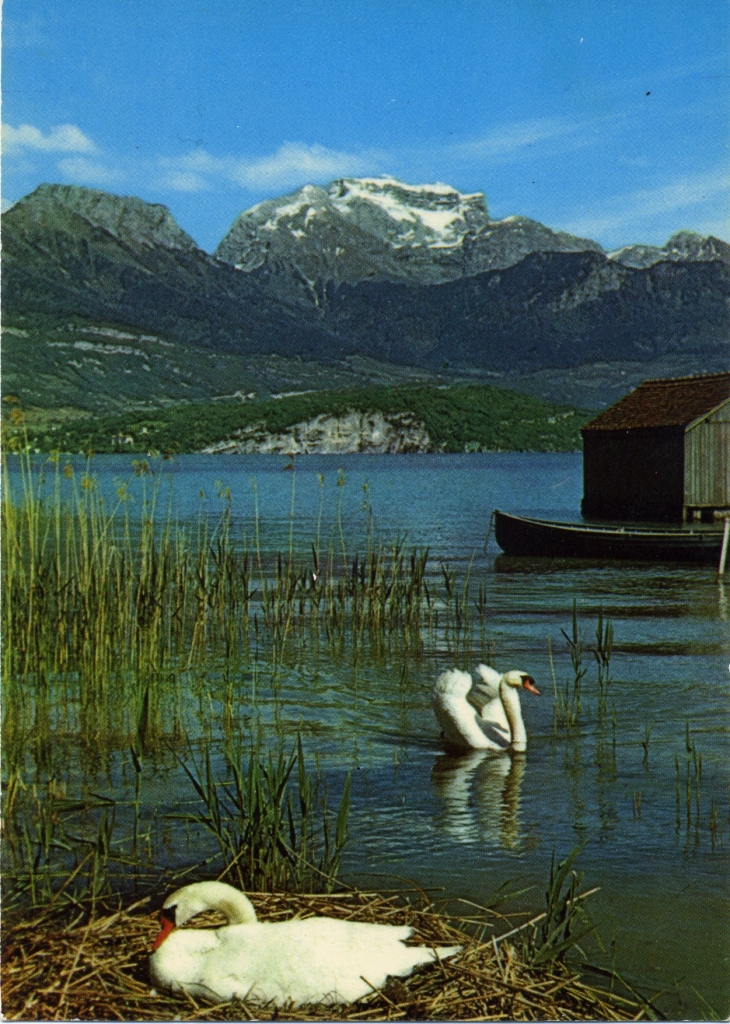 Le Lac d'Annecy (carte postale de 1960)