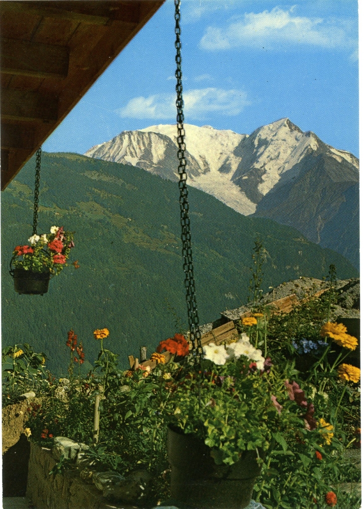 Le Mont Blanc 4807m (carte postale de 1990) - Chamonix-Mont-Blanc