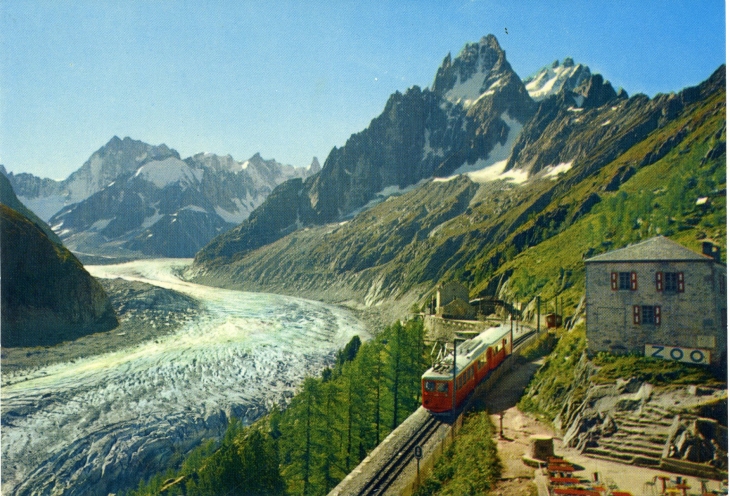 Montenvers 1909m - Vue générale sur la Mer de Glace - Au fond les Grandes Jorasses (carte postale de 1990) - Chamonix-Mont-Blanc