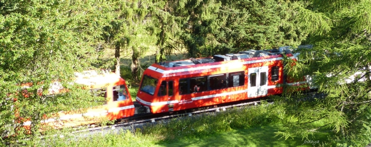 Chamonix-Mont-Blanc. Les Tines. Le Mont-Blanc Express. 