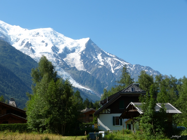 Chamonix-Mont-Blanc. Les Tines. 