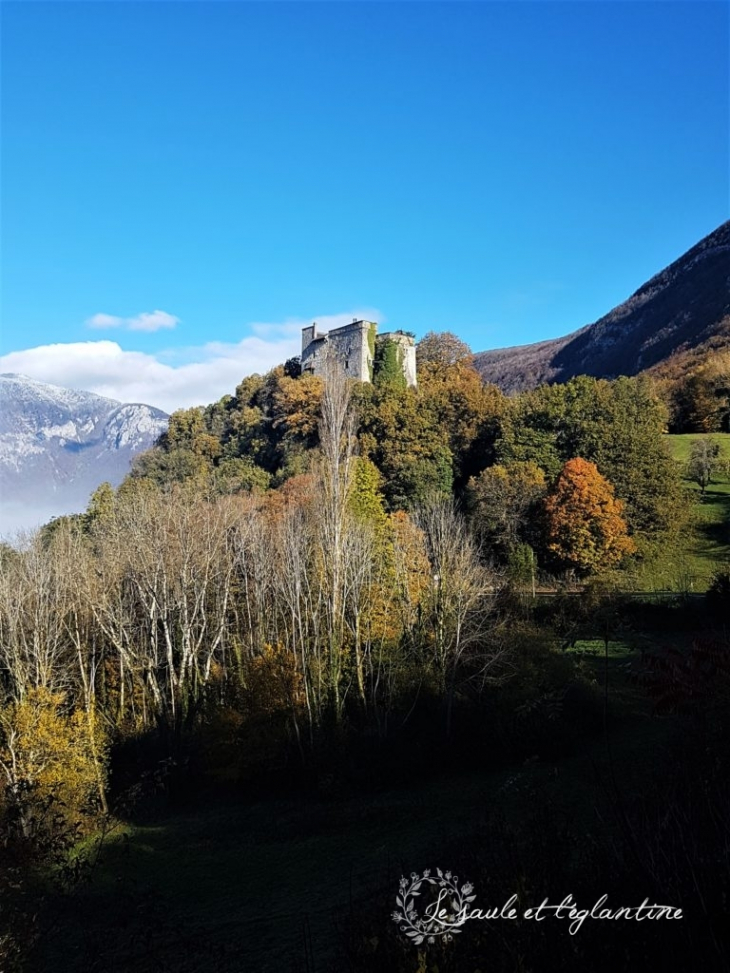 Le château d'Arcine (saule-eglantine.fr) - Clarafond-Arcine