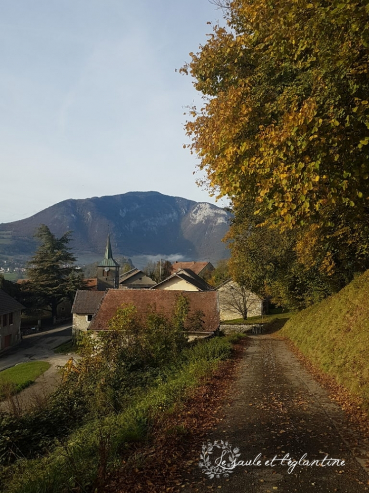 Le hameau d'Arcine (saule-eglantine.fr) - Clarafond-Arcine