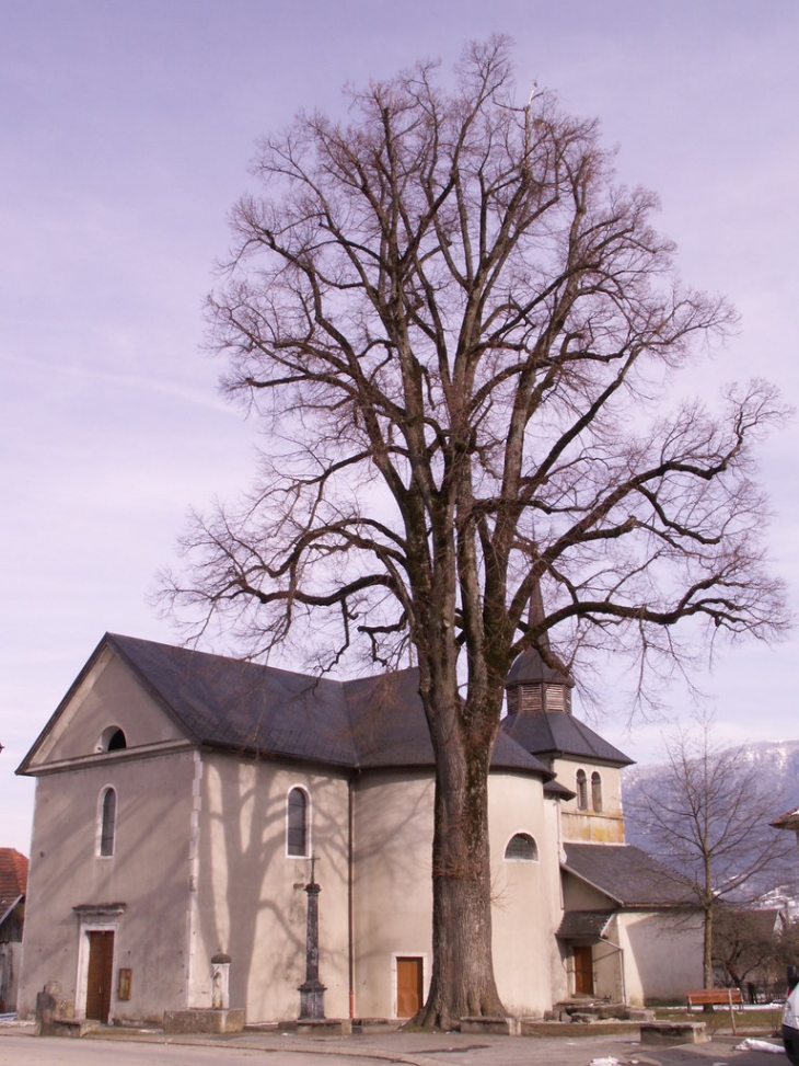 église sur la place du village - Héry-sur-Alby