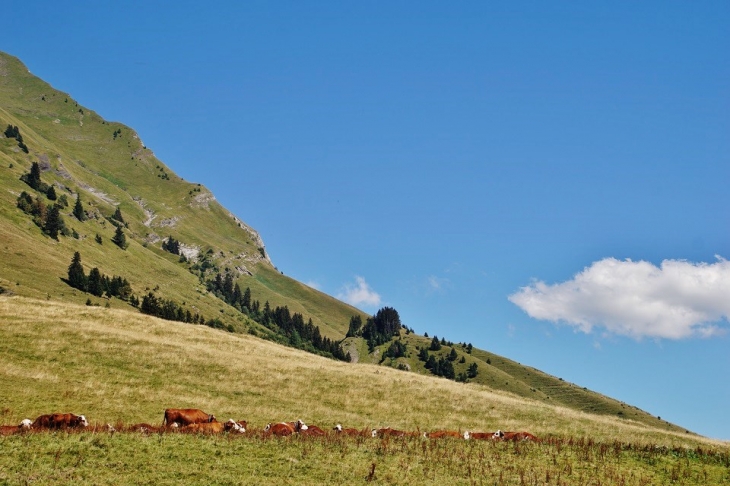 Col des Aravis - La Clusaz