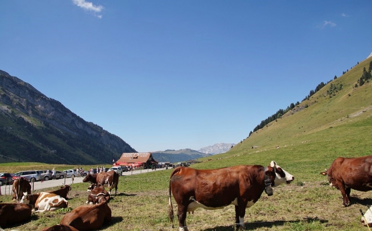 Col des Aravis - La Clusaz