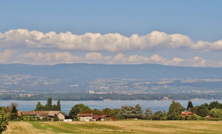 Panorama sur le Lac Léman  - Messery