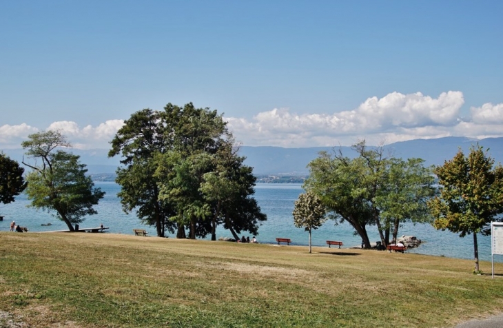 Lac Léman  - Messery