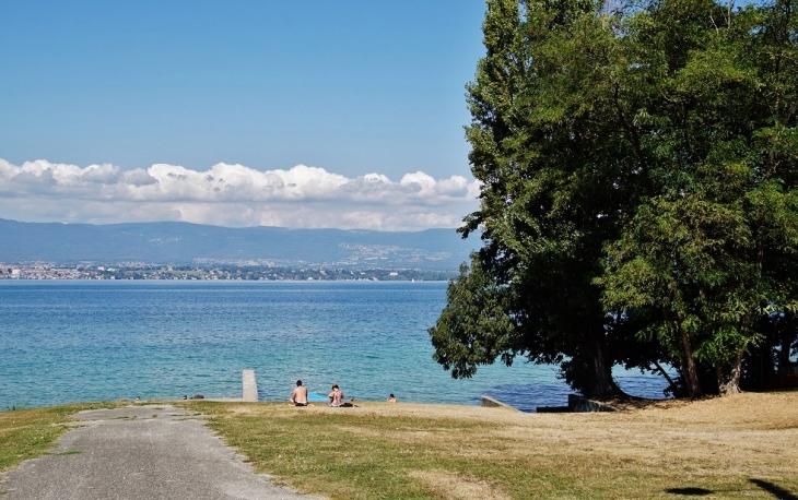 Lac Léman  - Messery