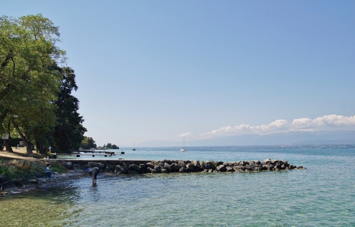 Lac Léman  - Messery