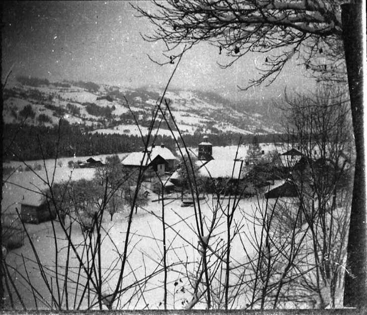 Morillon sous la neige