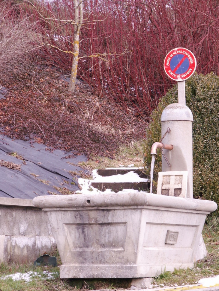 Amusant ce panneau derrière le bassin. Habituellement c'est de l'eau qui jaillit et non pas des voitures !... - Mûres