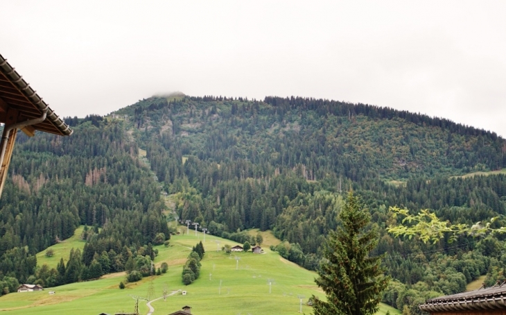 Le Village - Praz-sur-Arly